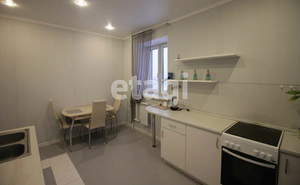 1-к квартира, на длительный срок, 49м2, 13/17 этаж