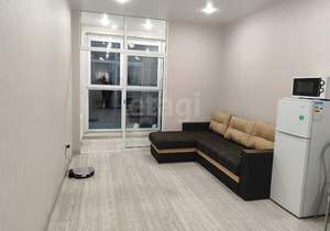 Студия квартира, на длительный срок, 26м2, 8/10 этаж