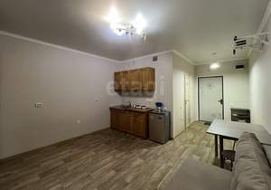 Студия квартира, на длительный срок, 25м2, 15/20 этаж