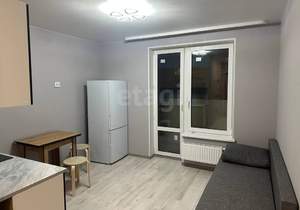 Студия квартира, на длительный срок, 24м2, 7/19 этаж