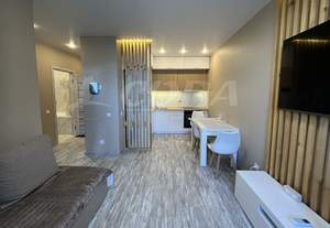 1-к квартира, на длительный срок, 40м2, 19/24 этаж