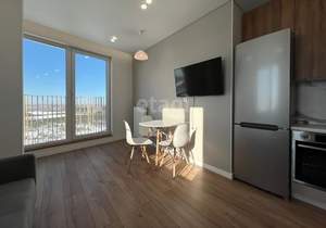 Студия квартира, на длительный срок, 27м2, 16/17 этаж