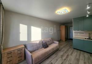 Студия квартира, на длительный срок, 24м2, 8/10 этаж