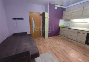 Студия квартира, на длительный срок, 23м2, 13/16 этаж