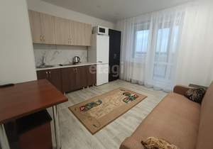 Студия квартира, на длительный срок, 24м2, 8/19 этаж