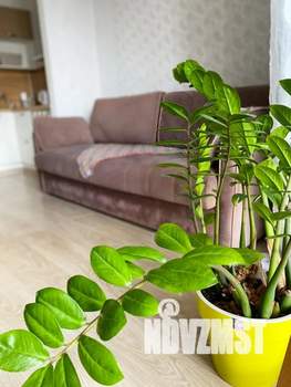 Студия квартира, посуточно, 30м2, 15/17 этаж