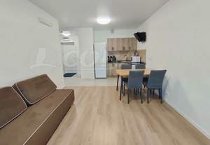 1-к квартира, на длительный срок, 38м2, 7/24 этаж