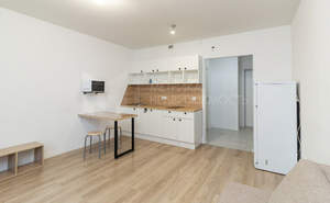 Студия квартира, на длительный срок, 25м2, 15/24 этаж