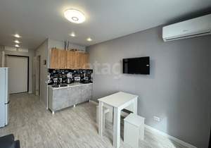 Студия квартира, на длительный срок, 25м2, 2/16 этаж