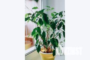 1-к квартира, посуточно, 42м2, 14/17 этаж