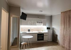 Студия квартира, на длительный срок, 28м2, 12/16 этаж