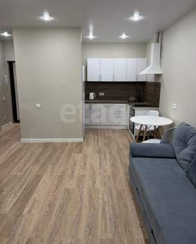 1-к квартира, на длительный срок, 43м2, 17/24 этаж