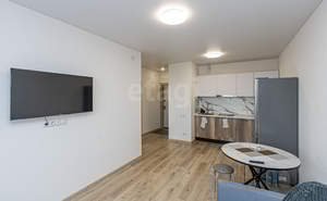 1-к квартира, на длительный срок, 39м2, 13/14 этаж