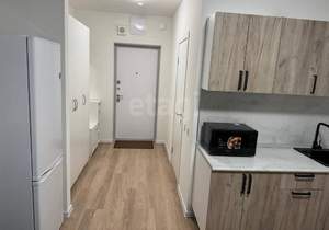 Студия квартира, на длительный срок, 27м2, 13/17 этаж