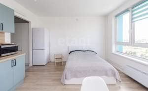 Студия квартира, на длительный срок, 27м2, 11/24 этаж