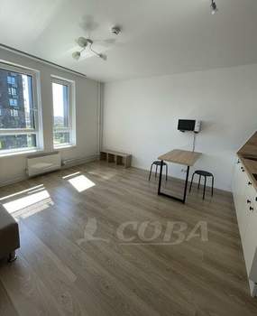 Студия квартира, на длительный срок, 25м2, 15/24 этаж