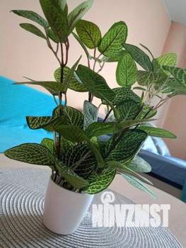 1-к квартира, посуточно, 31м2, 1/1 этаж