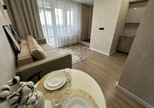 Студия квартира, на длительный срок, 27м2, 14/18 этаж