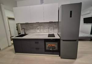 Студия квартира, на длительный срок, 30м2, 17/24 этаж