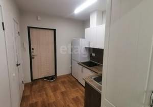 Студия квартира, на длительный срок, 30м2, 12/17 этаж