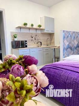 Студия квартира, посуточно, 19м2, 7/9 этаж