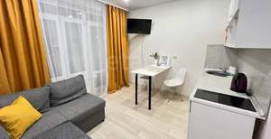 Студия квартира, на длительный срок, 20м2, 17/17 этаж