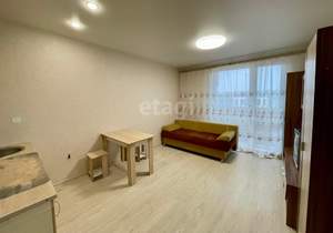 Студия квартира, на длительный срок, 24м2, 9/10 этаж