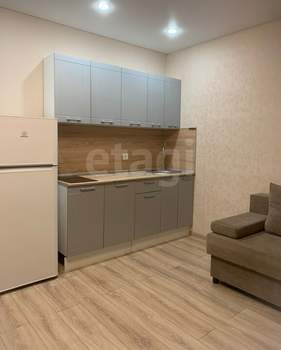 Студия квартира, на длительный срок, 30м2, 13/17 этаж