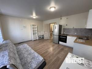 Студия квартира, на длительный срок, 30м2, 8/17 этаж