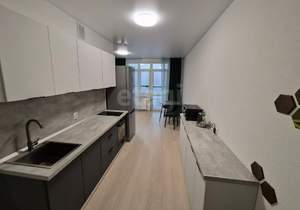 Студия квартира, на длительный срок, 30м2, 17/24 этаж