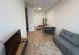 1-к квартира, на длительный срок, 34м2, 17/17 этаж