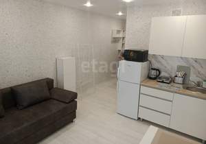 Студия квартира, на длительный срок, 19м2, 15/16 этаж