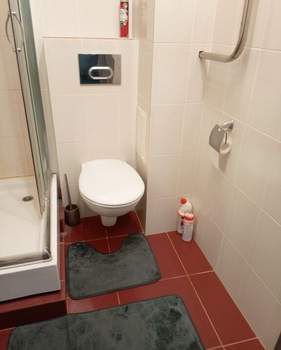 1-к квартира, на длительный срок, 30м2, 7/10 этаж