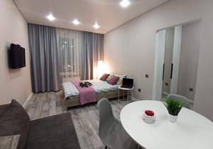 Студия квартира, на длительный срок, 29м2, 8/17 этаж