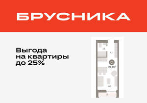 Студия квартира, вторичка, 26м2, 2/10 этаж
