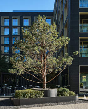 3-к квартира, сданный дом, 253м2, 8/8 этаж