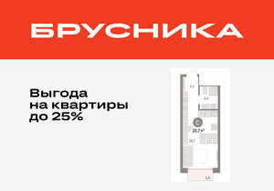 Студия квартира, вторичка, 27м2, 15/17 этаж