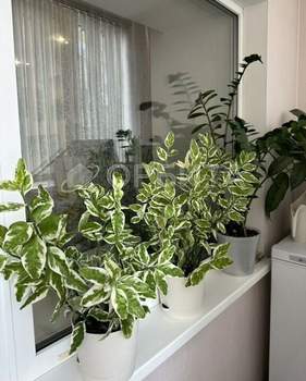 3-к квартира, вторичка, 123м2, 3/9 этаж