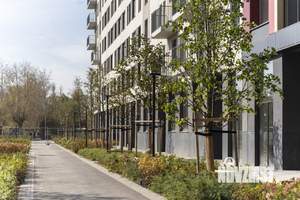 3-к квартира, вторичка, 77м2, 9/9 этаж