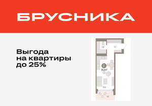 Студия квартира, вторичка, 35м2, 22/25 этаж