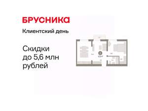 1-к квартира, вторичка, 57м2, 10/10 этаж